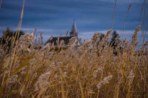 Anglican Church